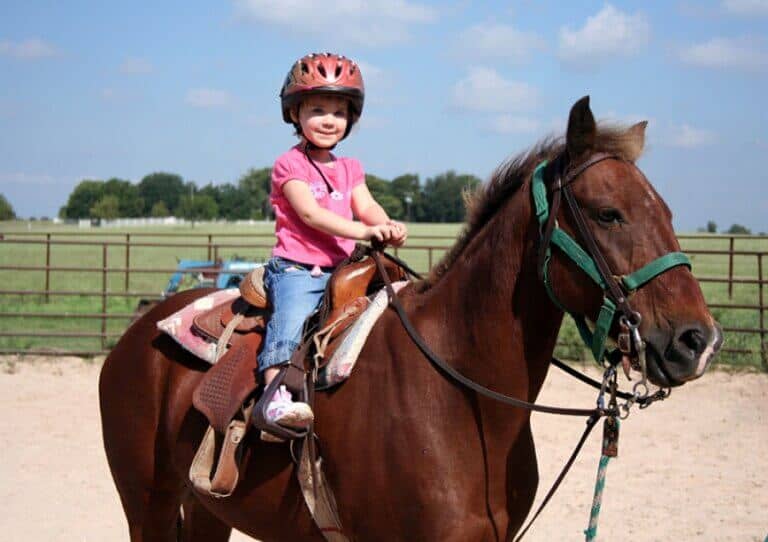 Fun Activities For Kids While You Are Enjoying Our ATV Trails
